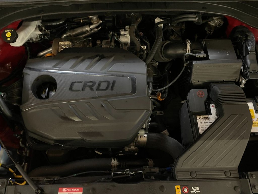 Used Kia Sportage 2019 for sale - 76582056: Photo 43