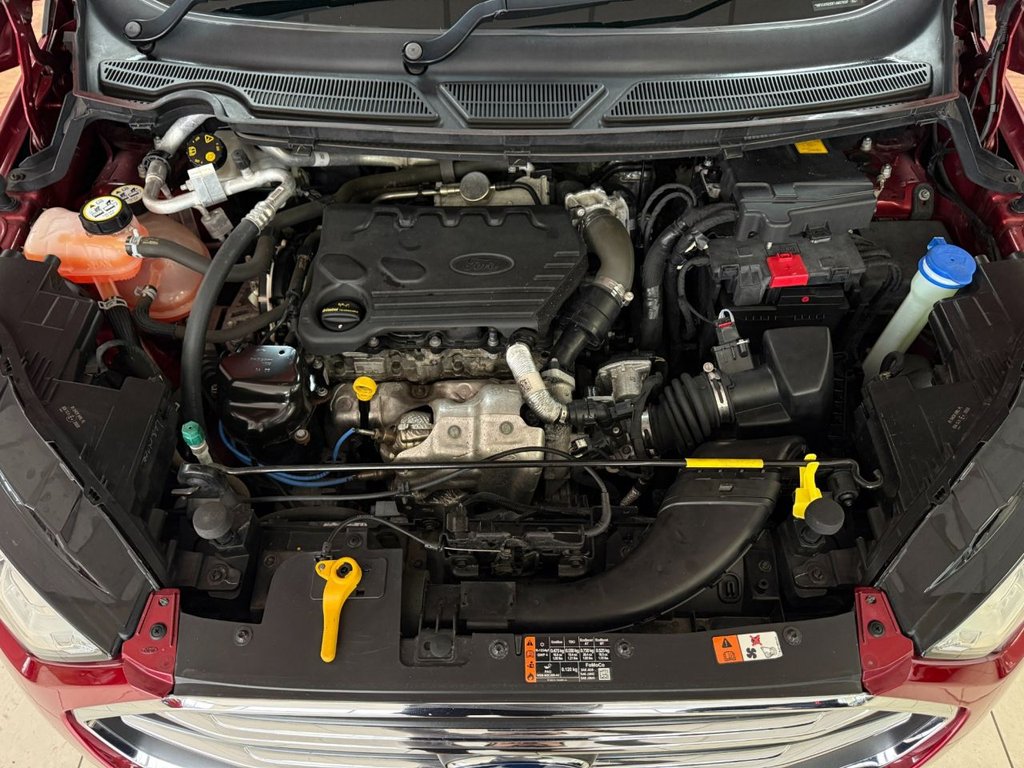 Used Ford Ecosport 2019 for sale - 77849706: Photo 38