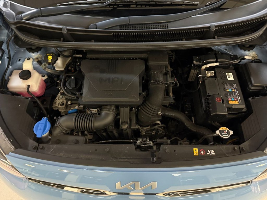 Used Kia Picanto 2022 for sale - 77346731: Photo 39