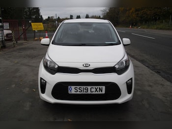 Used Kia Picanto 2019 for sale - 76406937: Photo