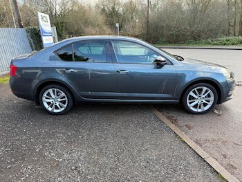 Used Skoda Octavia 2019 for sale - 76913241: Photo
