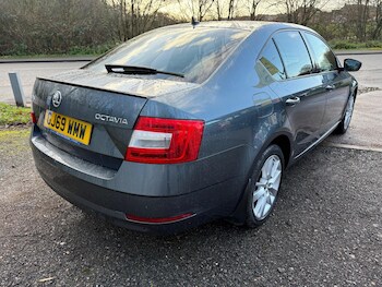 Used Skoda Octavia 2019 for sale - 76913241: Photo