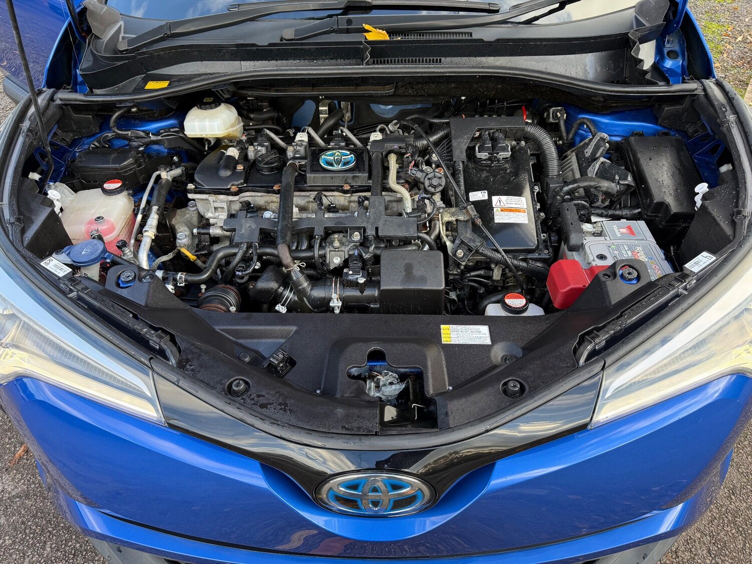 Used Toyota C-HR 2017 for sale - 76337198: Photo 11