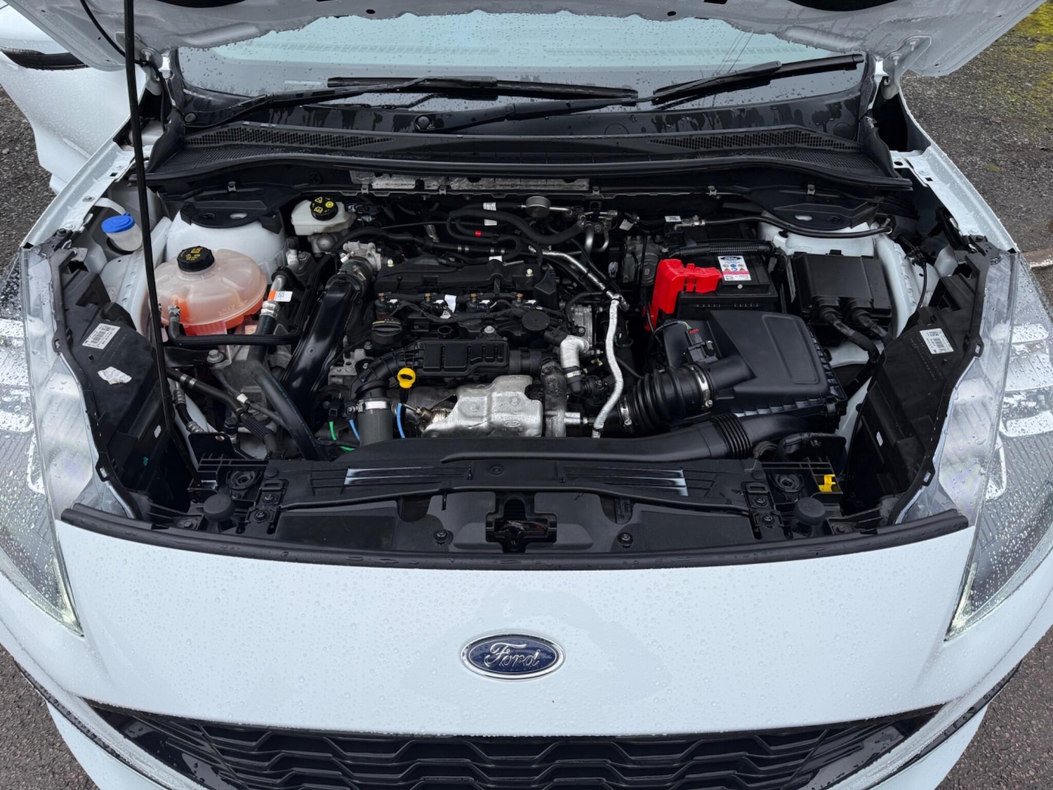 Used Ford Kuga 2021 for sale - 77468202: Photo 10