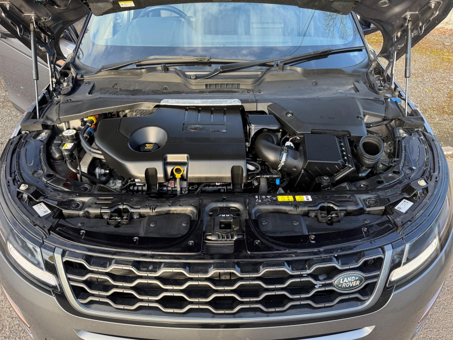 Used Land Rover Range Rover Evoque 2020 for sale - 77657747: Photo 11