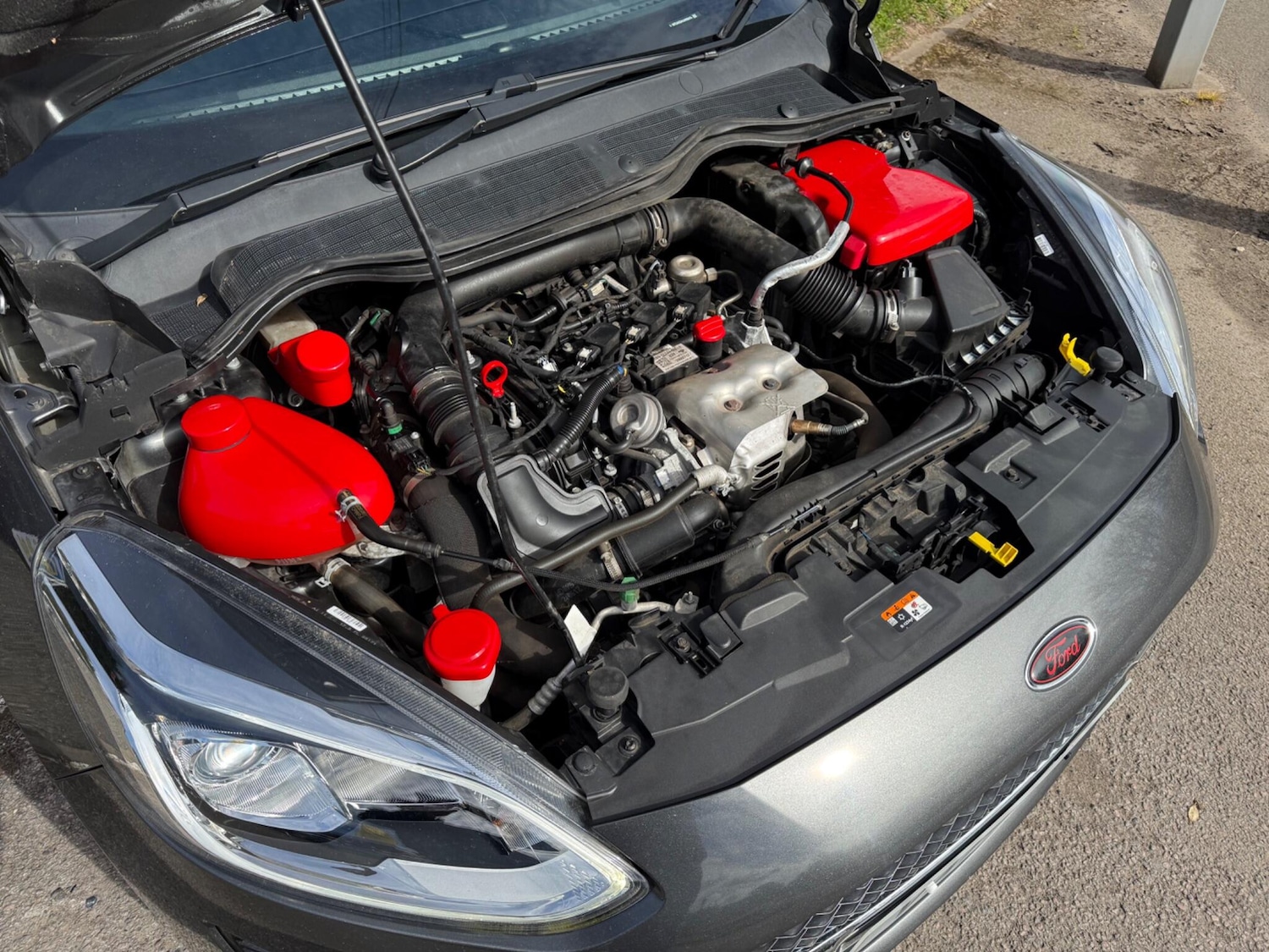 Used Ford Fiesta 2017 for sale - 78034893: Photo 10