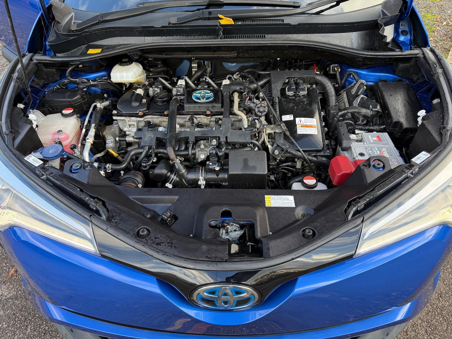 Used Toyota C-HR for sale - 76990239: Photo 11