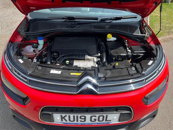 Used Citroen C4 Cactus 2019 for sale - 74945529: Photo 18