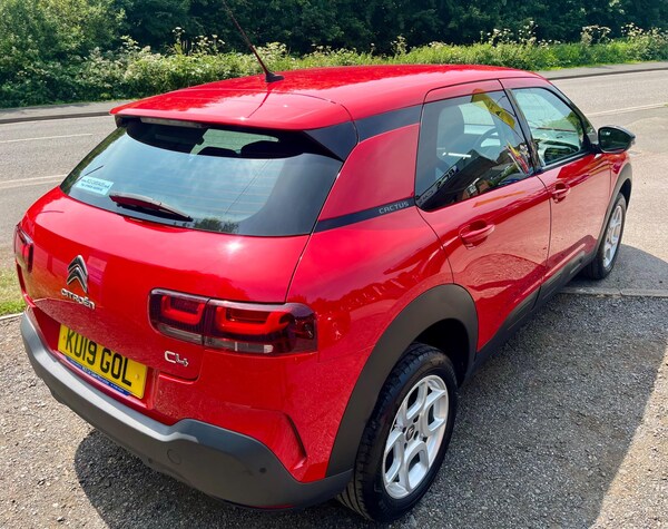Used Citroen C4 Cactus 2019 for sale - 74945529: Photo 9