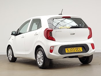 Used Kia Picanto 2023 for sale - 77585245: Photo