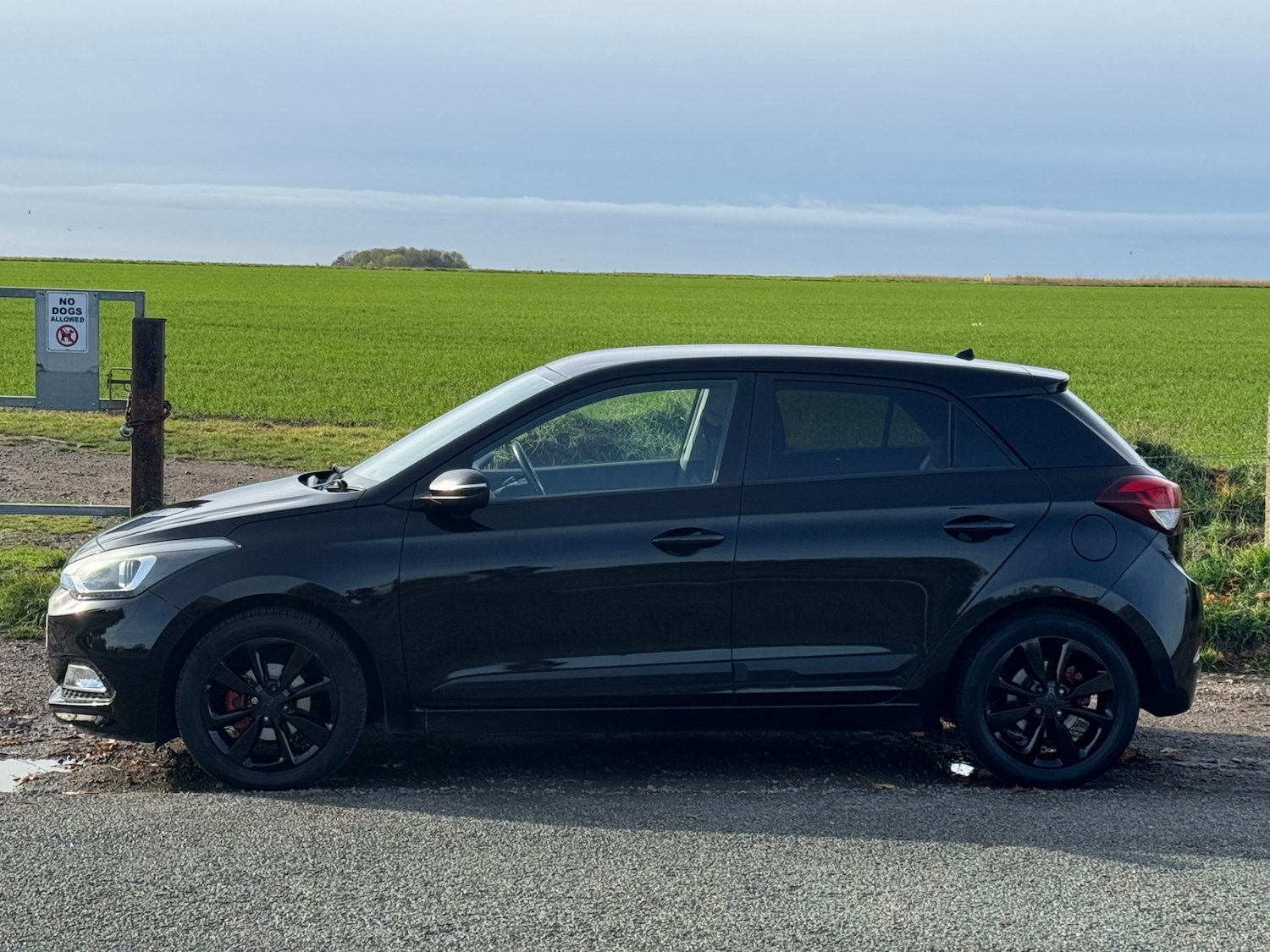 Used Hyundai i20 2015 for sale - 76418601: Photo 8