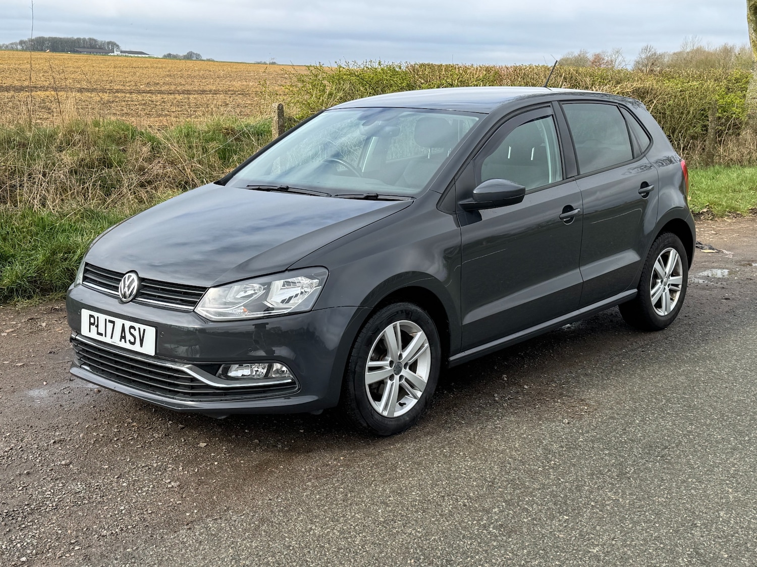 Used Volkswagen Polo 2017 for sale - 77187261: Photo 1