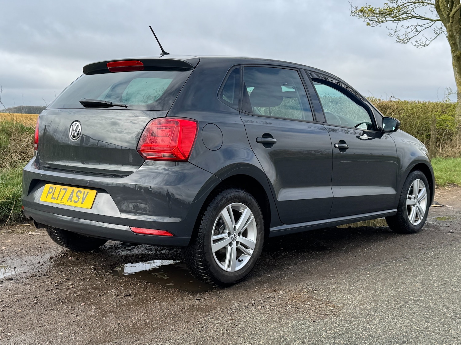 Used Volkswagen Polo 2017 for sale - 77187261: Photo 13