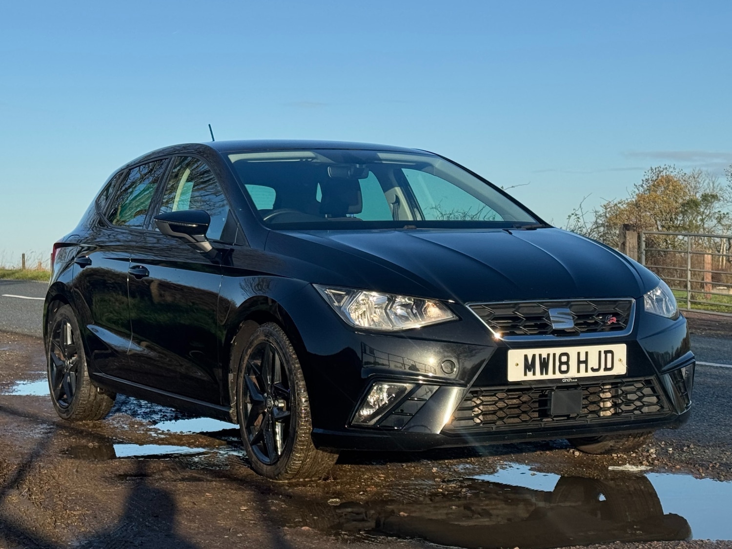 Used SEAT Ibiza 2018 for sale - 76782774: Photo 11
