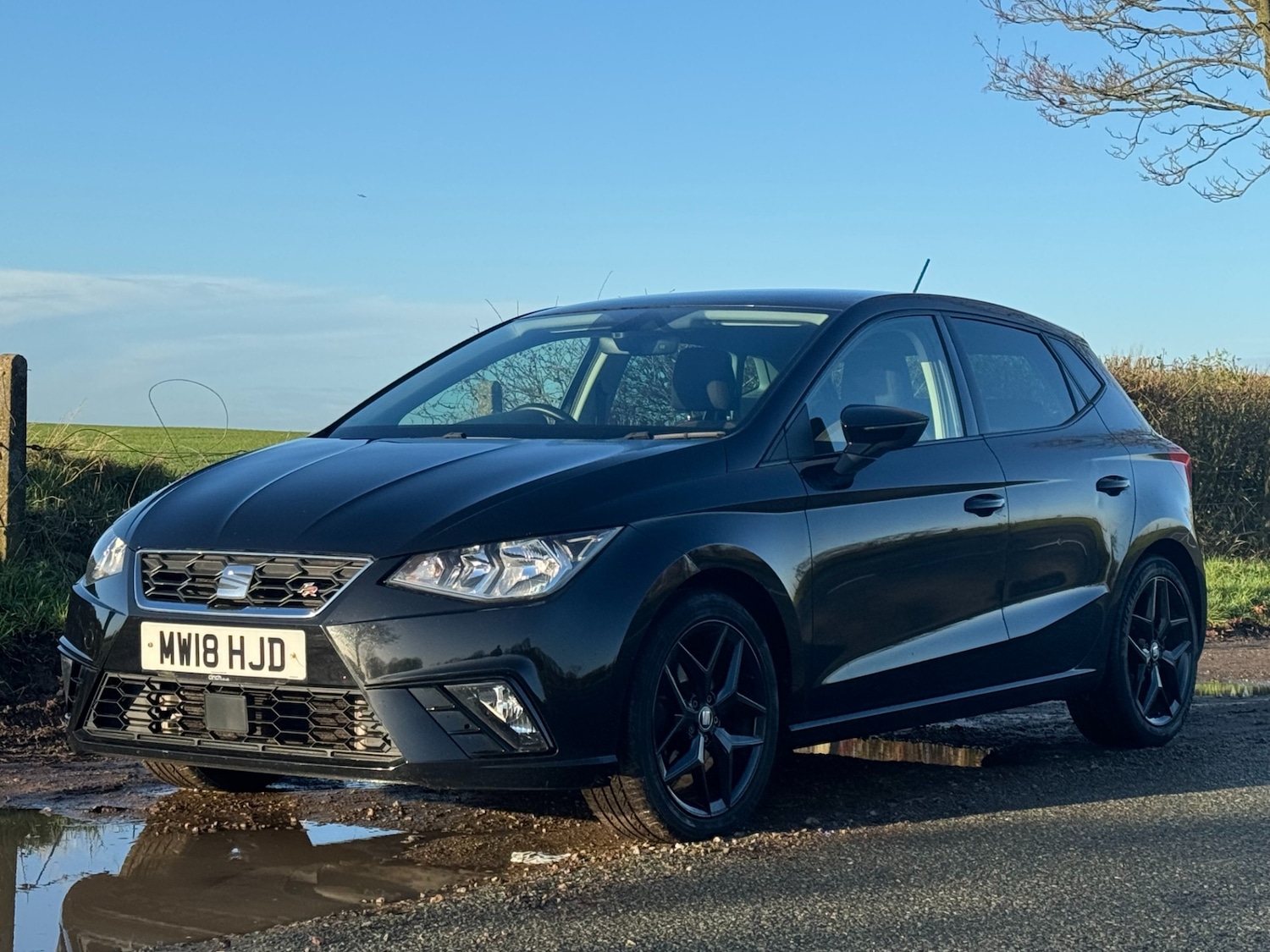 Used SEAT Ibiza 2018 for sale - 76782774: Photo 9