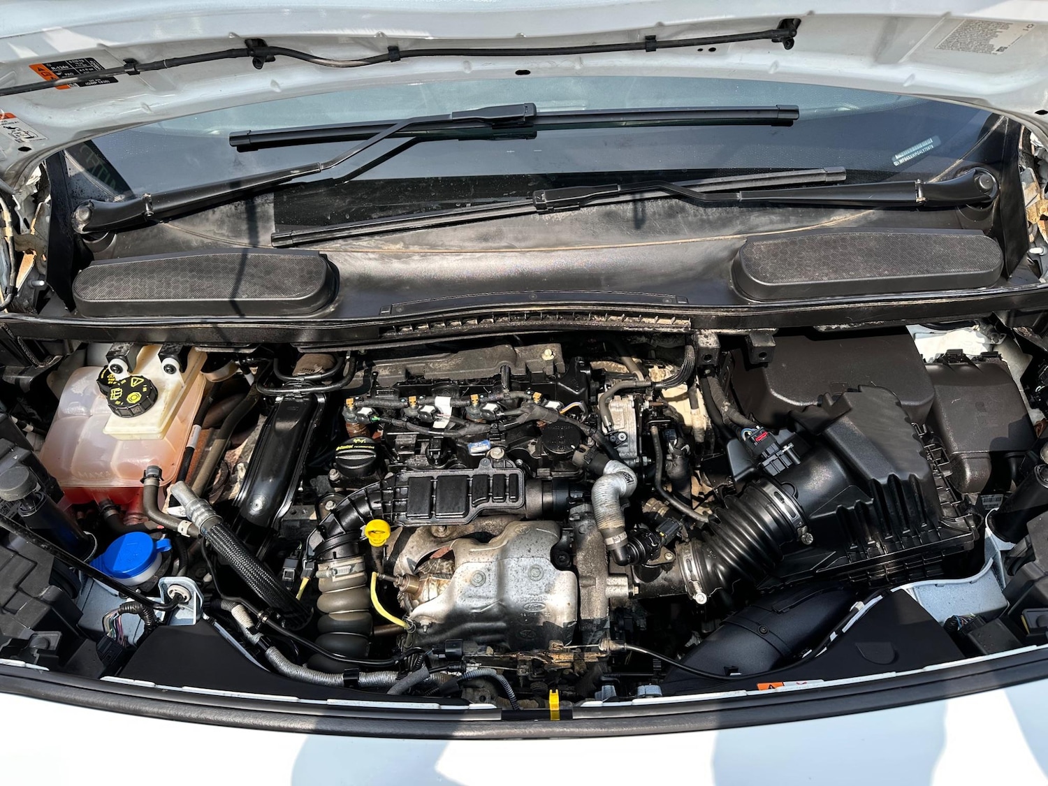 Used Ford Transit Connect 2021 for sale - 77612703: Photo 3