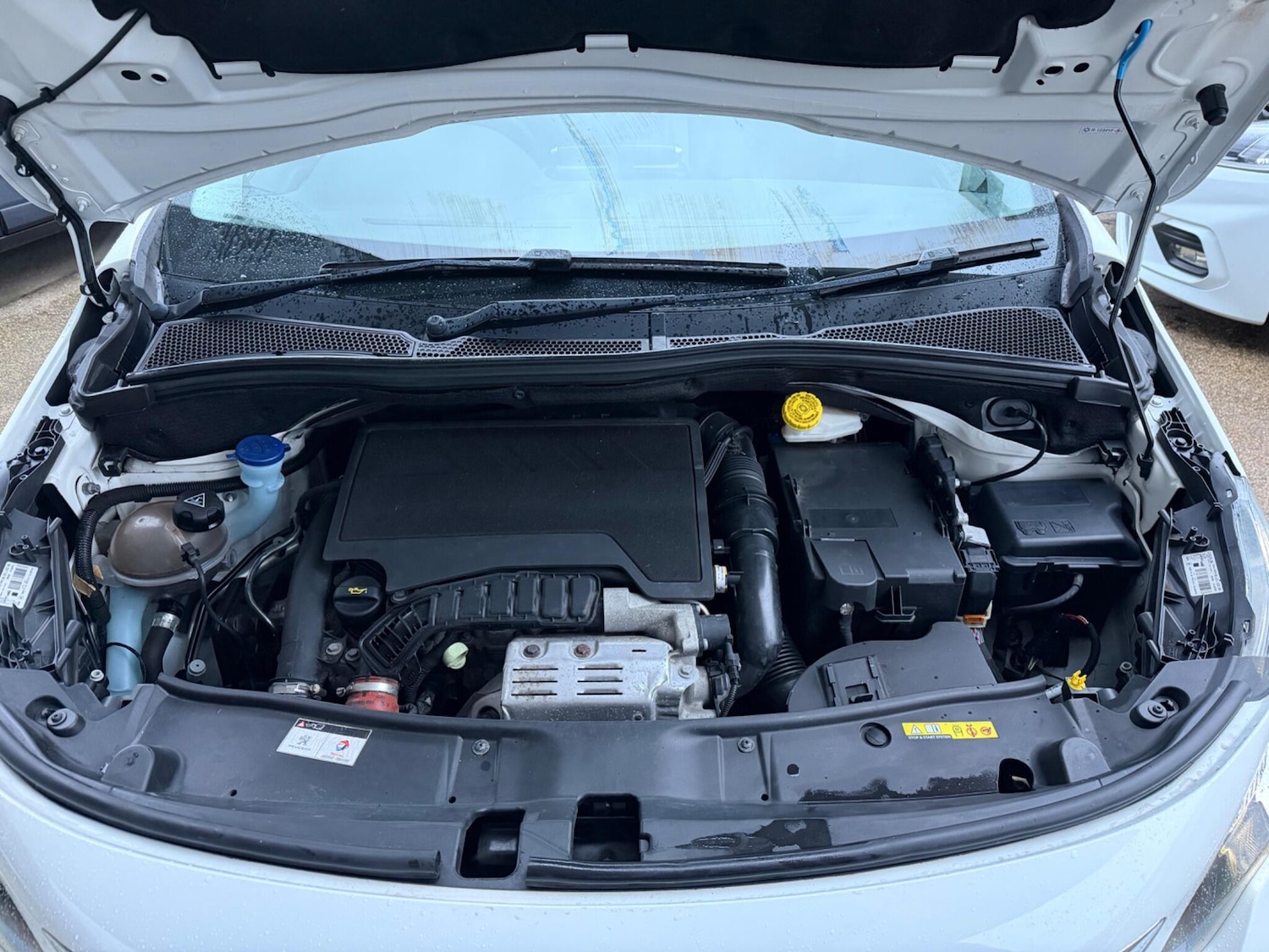 Used Peugeot 2008 2019 for sale - 77255026: Photo 6