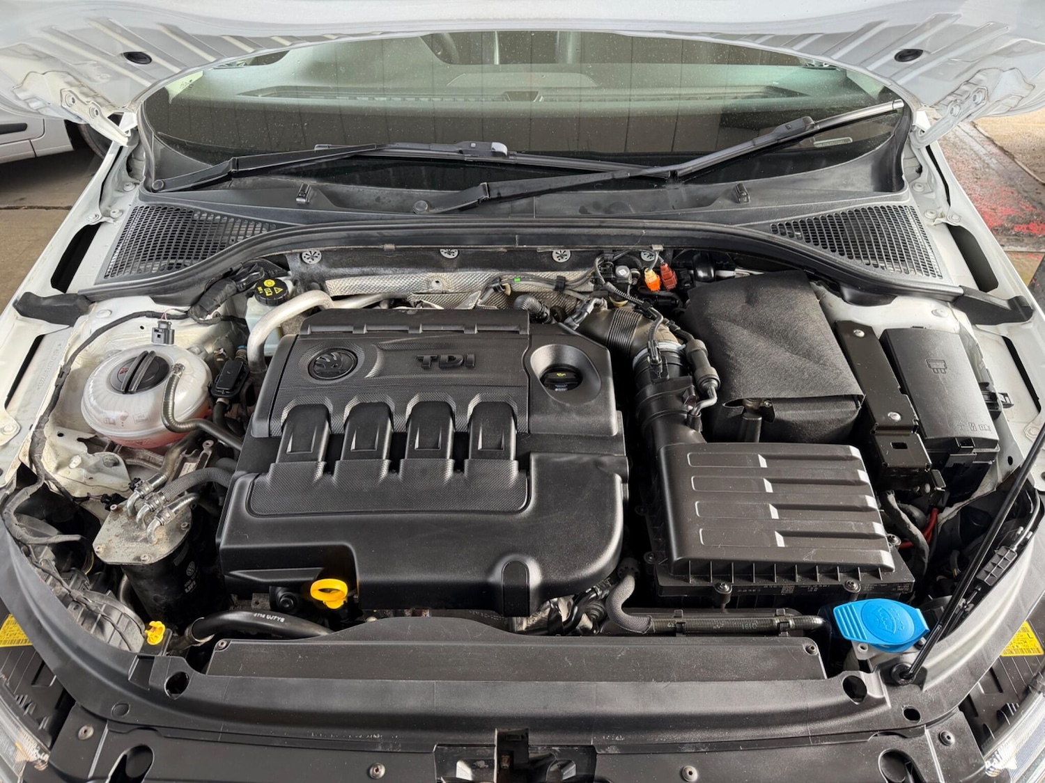 Used Skoda Octavia 2015 for sale - 77612681: Photo 6