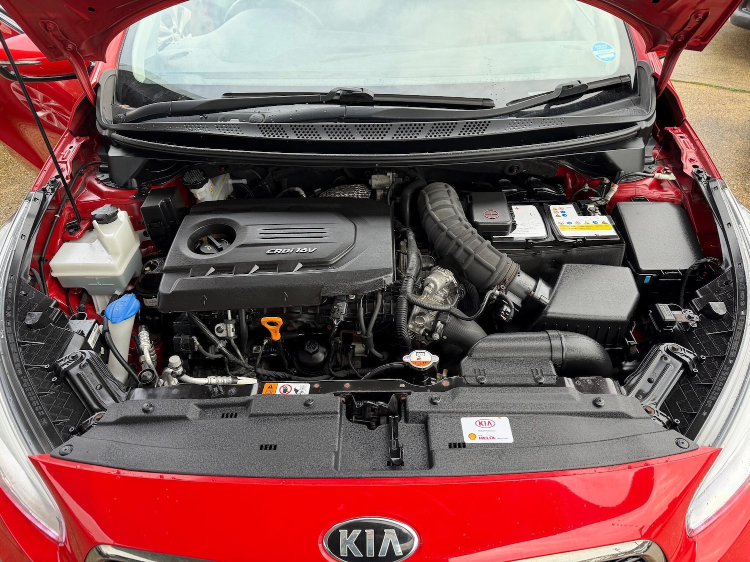 Used Kia Ceed 2016 for sale - 77040507: Photo 6