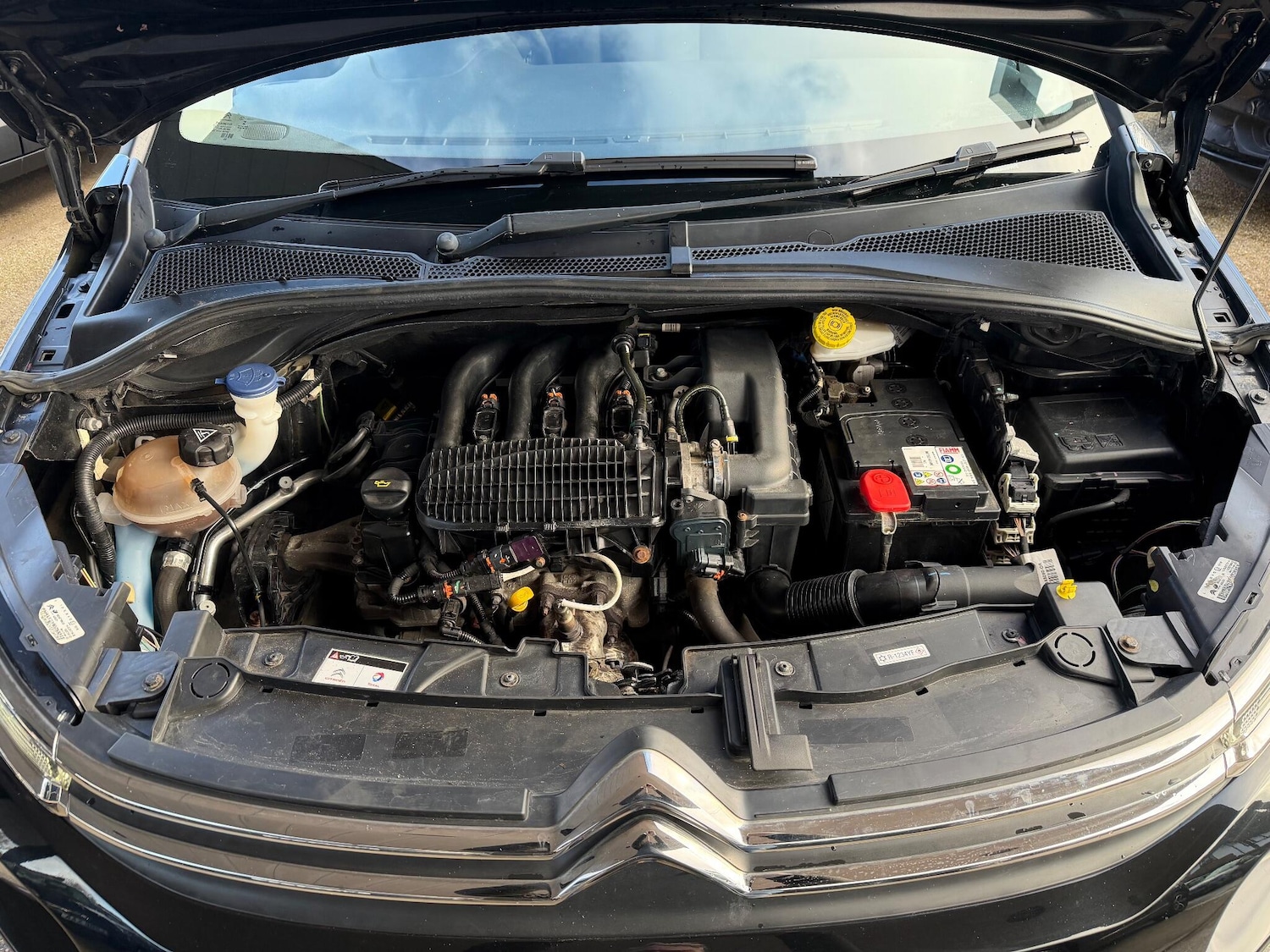 Used Citroen C3 2017 for sale - 76913978: Photo 6