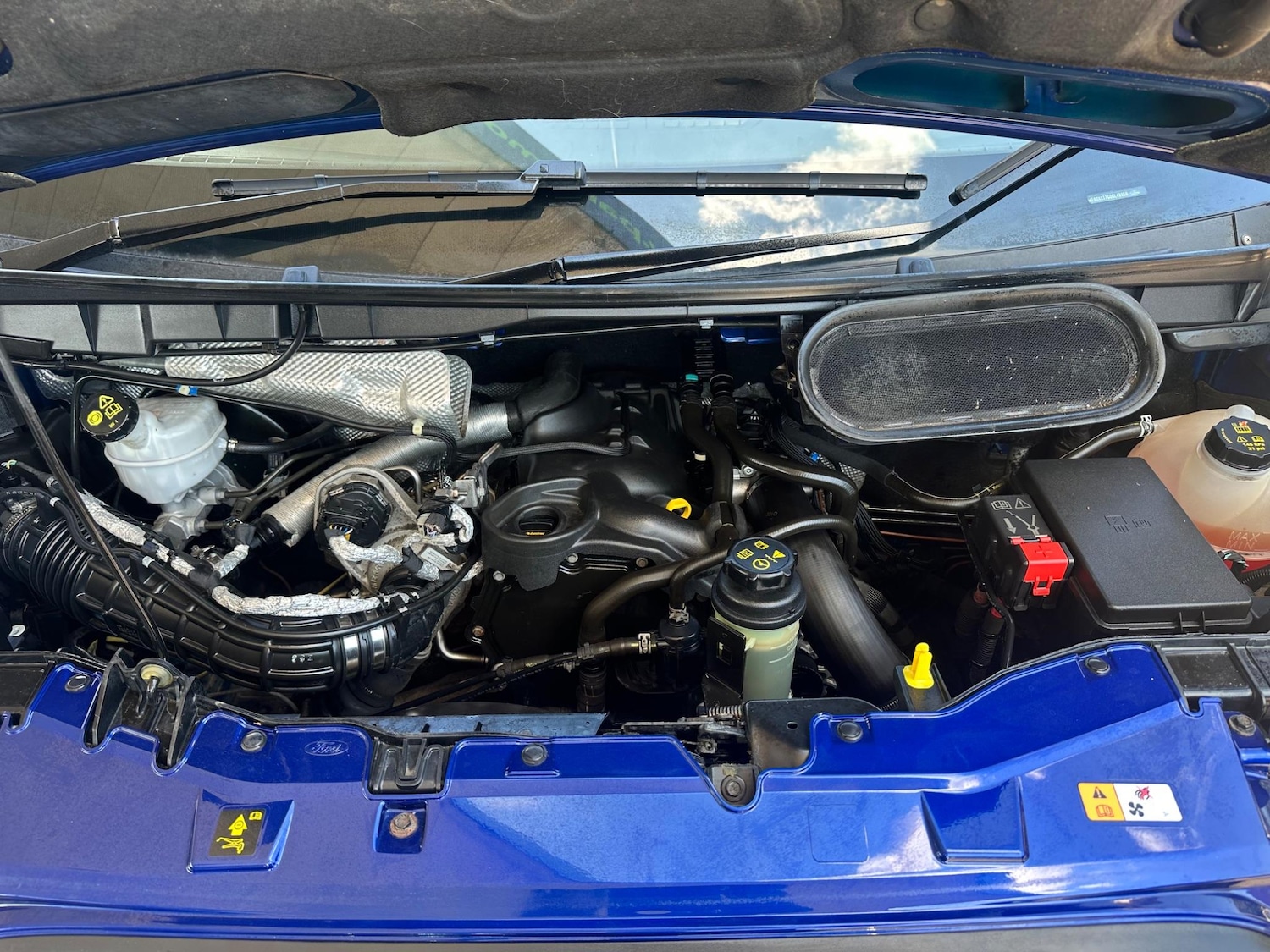 Used Ford Transit for sale - 77612701: Photo 3