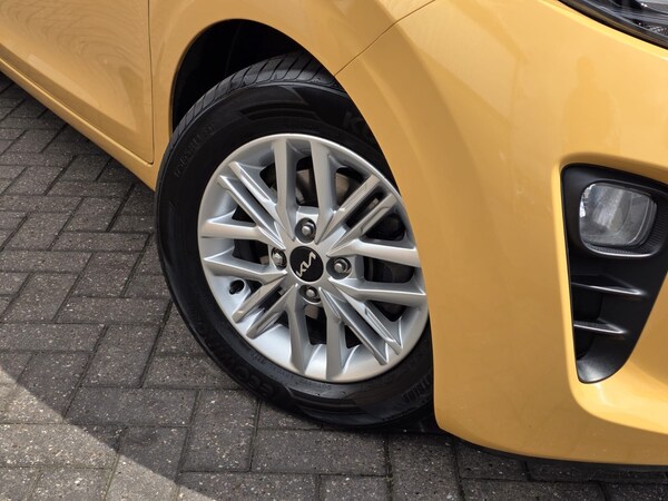 Used Kia Picanto 2023 for sale - 76124312: Photo 13