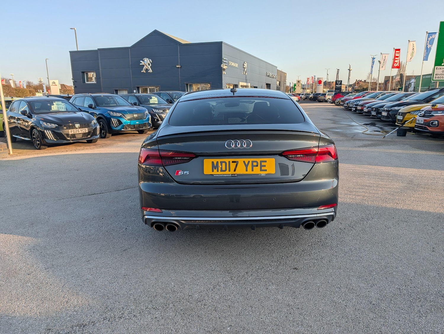 Used Audi S5 for sale - 77753157: Photo 6