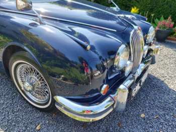 Used Jaguar Mark II 1966 for sale - 75030046: Photo