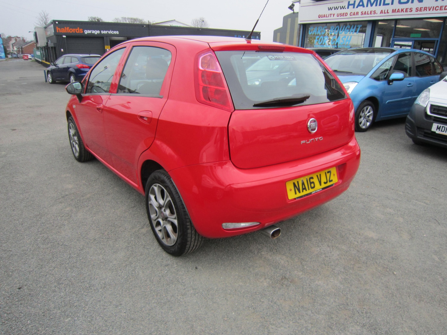 Used Fiat Punto 2016 for sale - 77981177: Photo 6