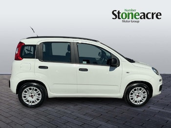 Used Fiat Panda 2019 for sale - 78384364: Photo
