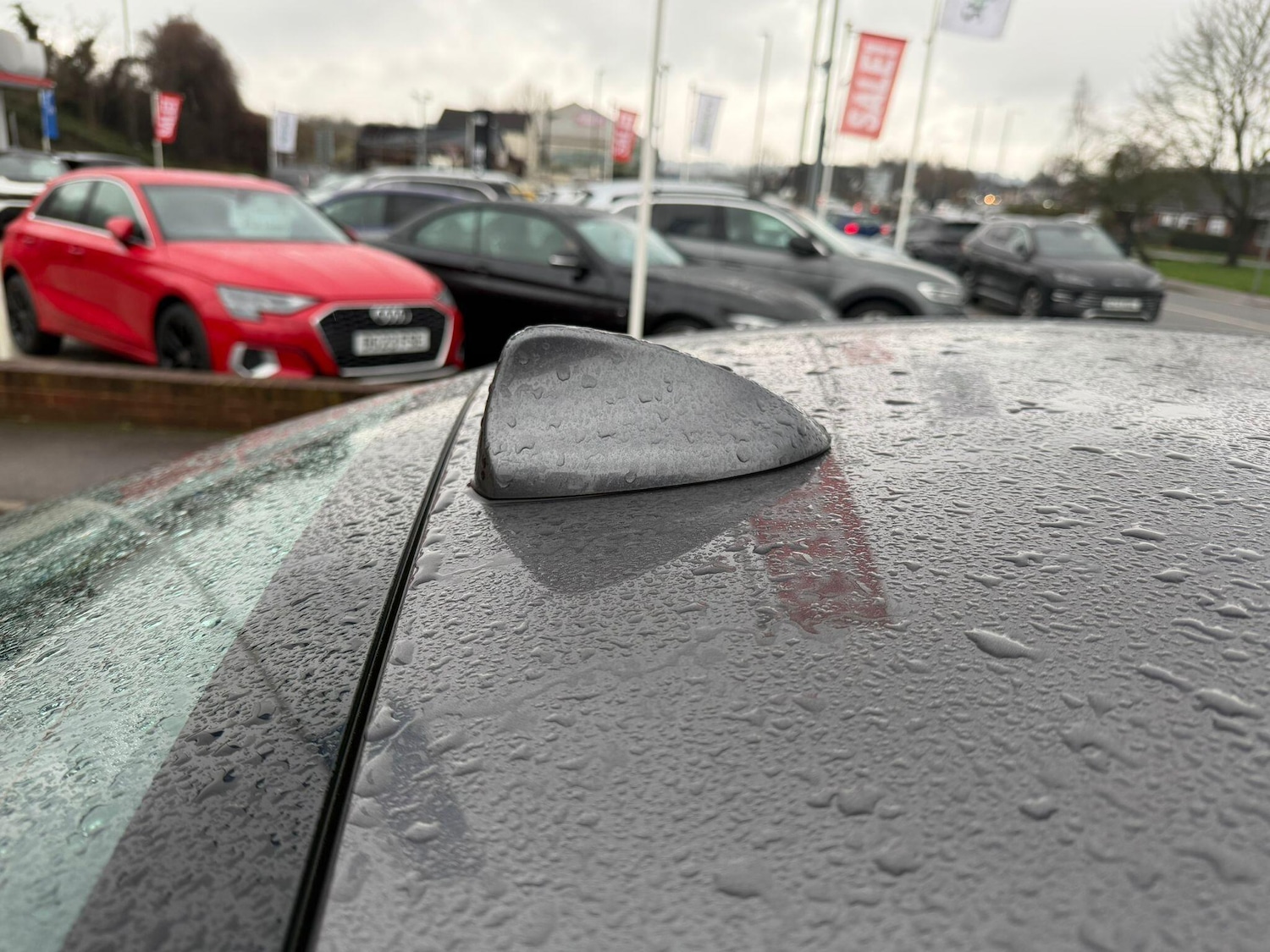 Used Alfa Romeo Giulia 2024 for sale - 78072991: Photo 51