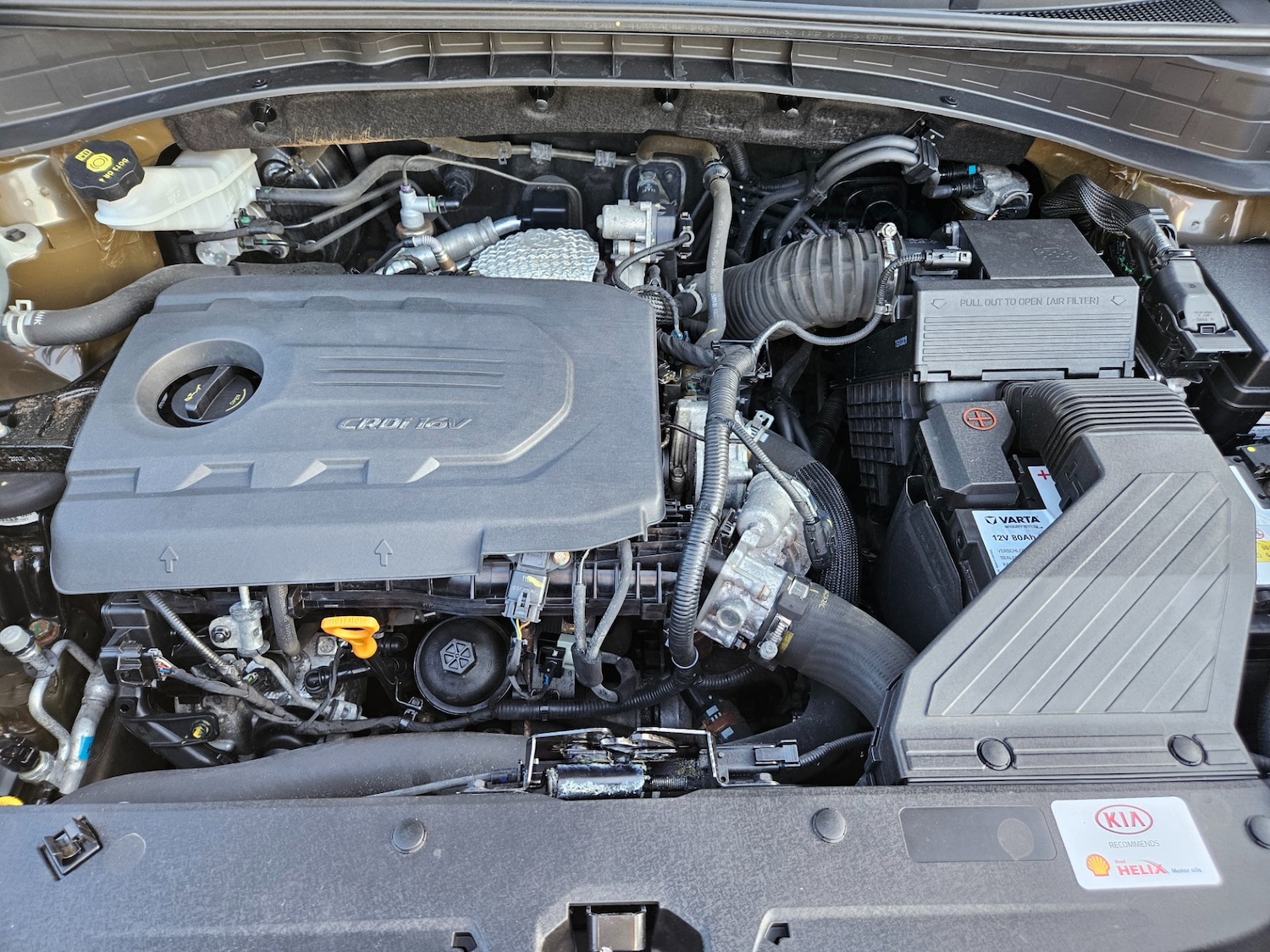 Used Kia Sportage 2024 for sale - 76636594: Photo 7