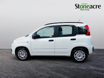 Used Fiat Panda 2020 for sale - 79553671: Photo