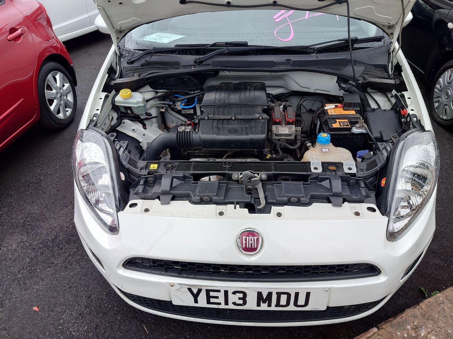 Used Fiat Punto 2013 for sale - 76259804: Photo 17