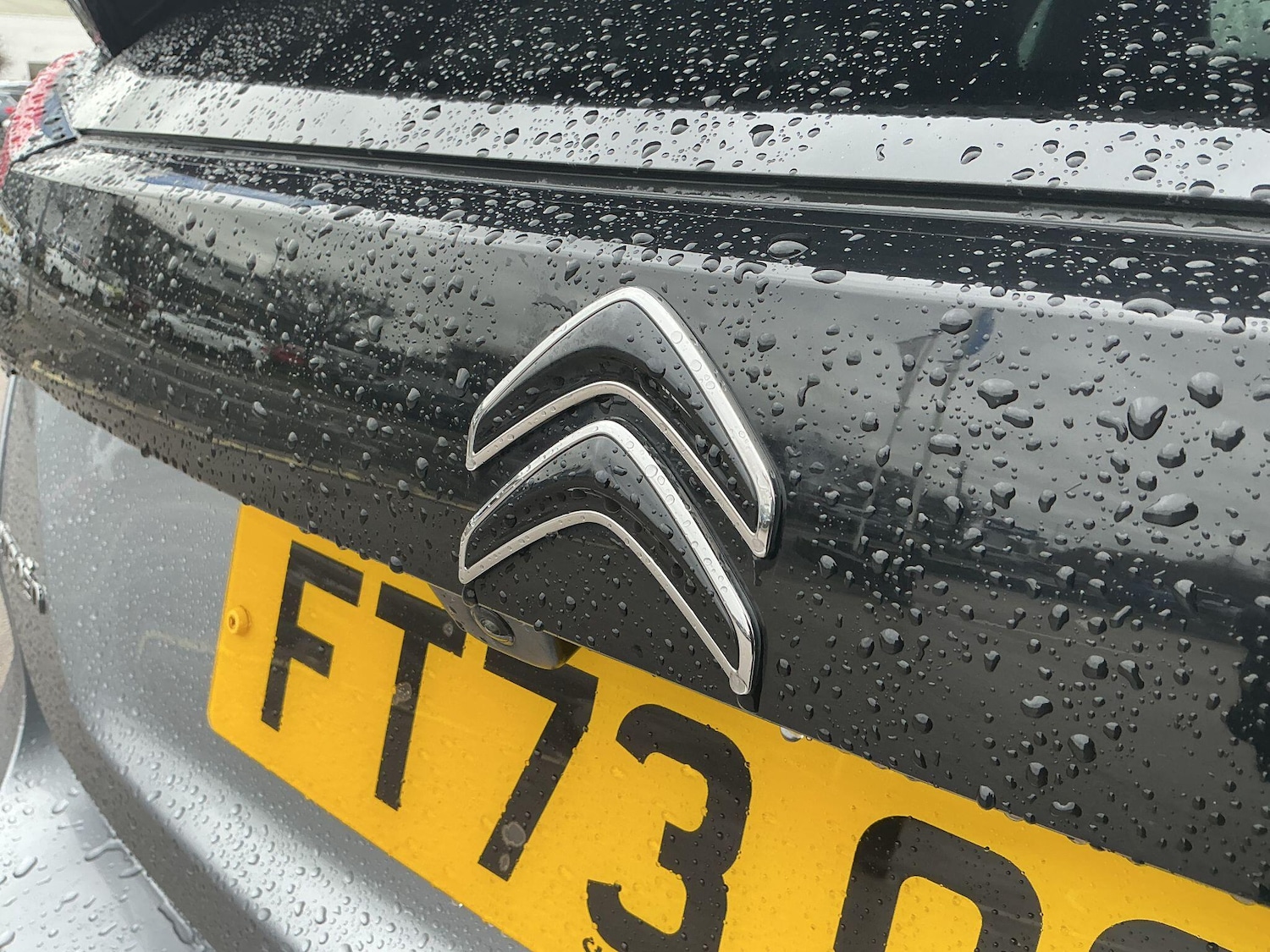 Used Citroen C4 2023 for sale - 77242429: Photo 36