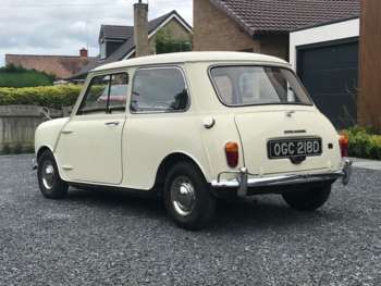 Used Morris Mini 1966 for sale - 71266477: Photo